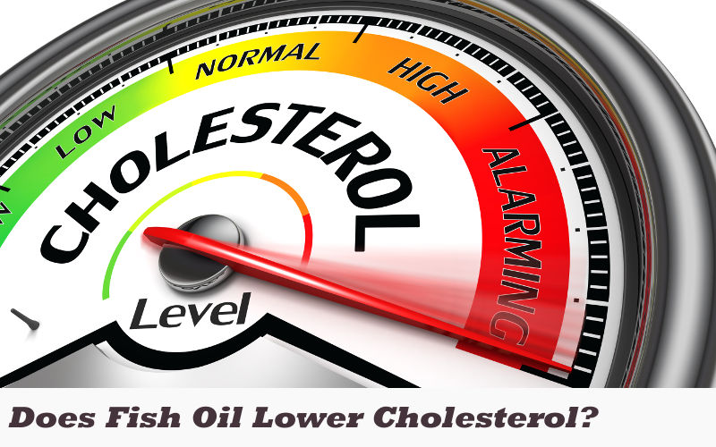  Does Fish Oil Lower Cholesterol 